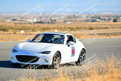 media/Nov-16-2024-Extreme Speed (Sat) [[6587d07cc4]]/Gold Group/Session 3 (The Bowl)/